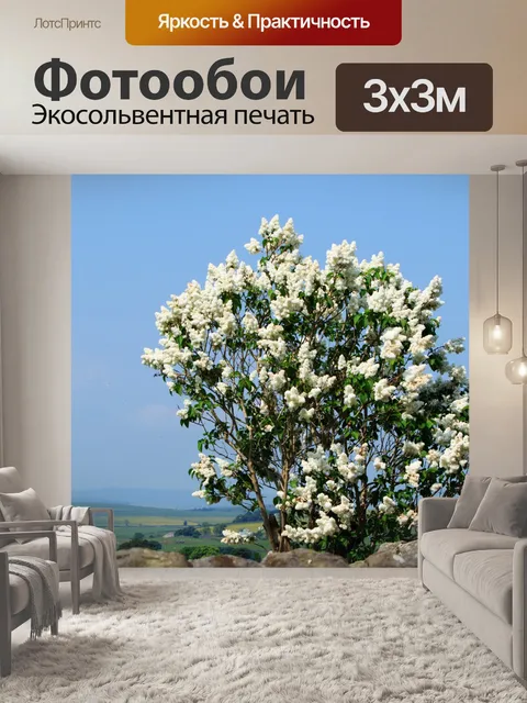 Фотообои Сирень Белые цветы
