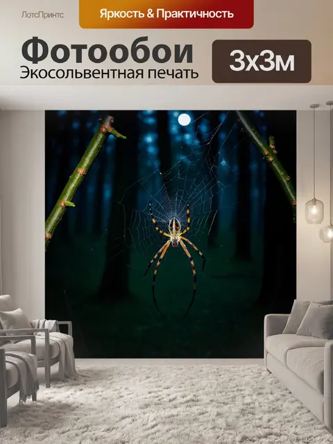 Фотообои тихая ночь в лесу, где паук создает свою паутину между двумя ветвями, окруженный мягким светом луны