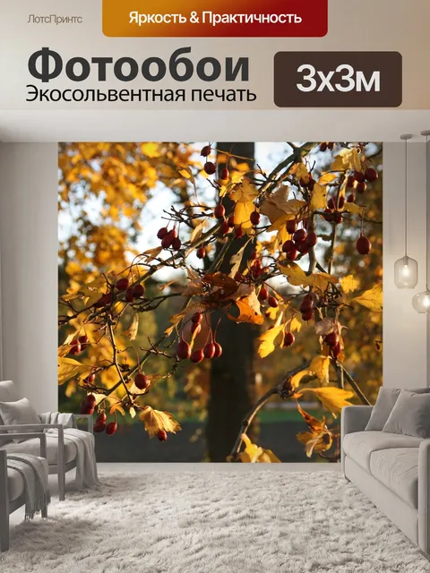 Фотообои Кленовые листья