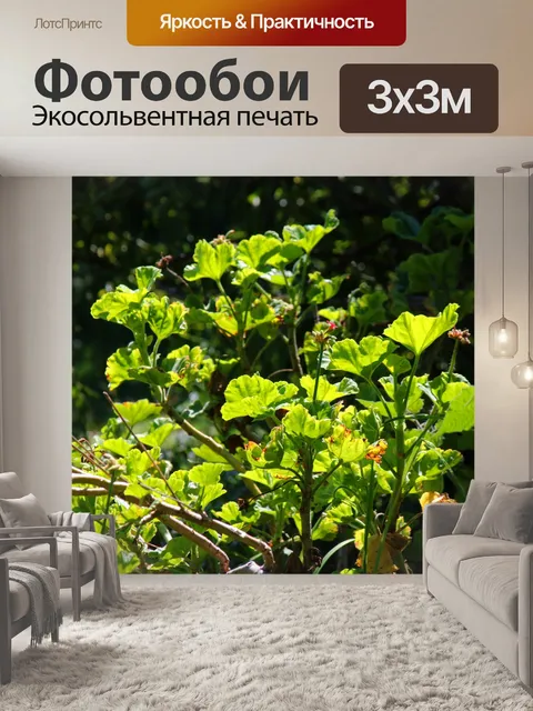 Фотообои ярко-зеленые листья герани