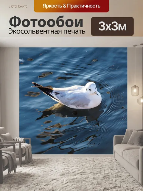 Фотообои Чайка