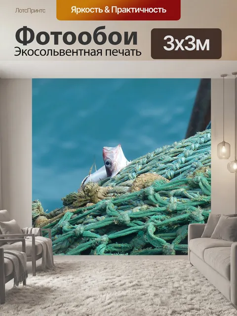 Фотообои Рыба