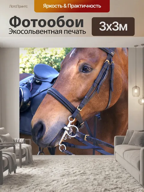 Фотообои Залив лошади