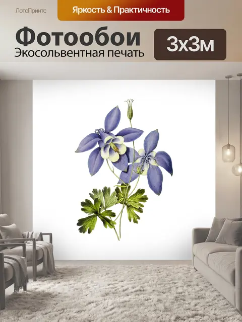 Фотообои Коломбина цветы винтажное искусство