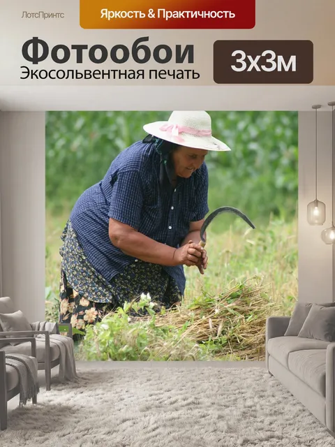 Фотообои Крестьянин
