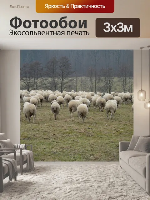 Фотообои Стадо овец