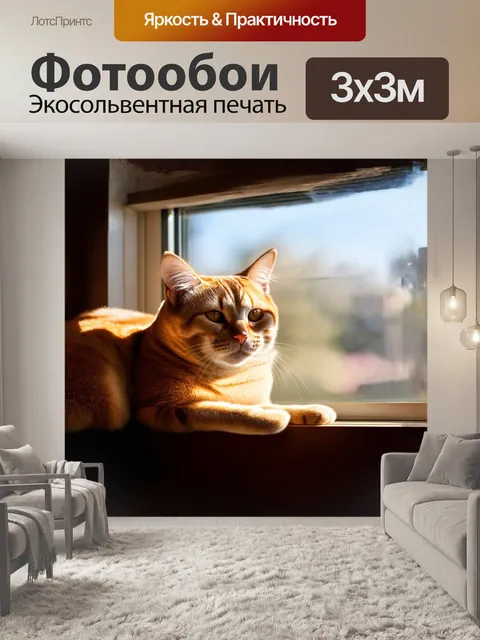 Фотообои кошка с тонкими усами лежит на окне