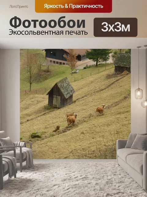 Фотообои Луг