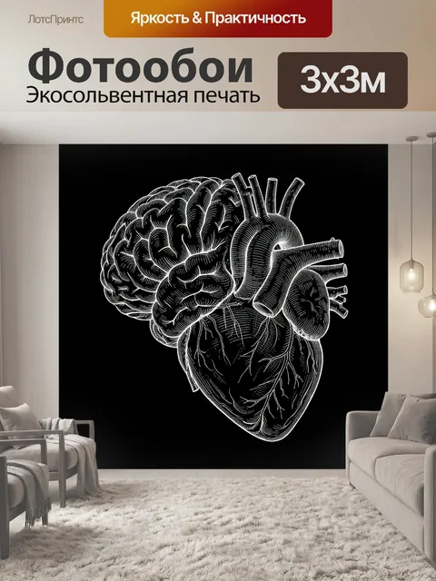 Фотообои Черно-белое сердце с нервной системой