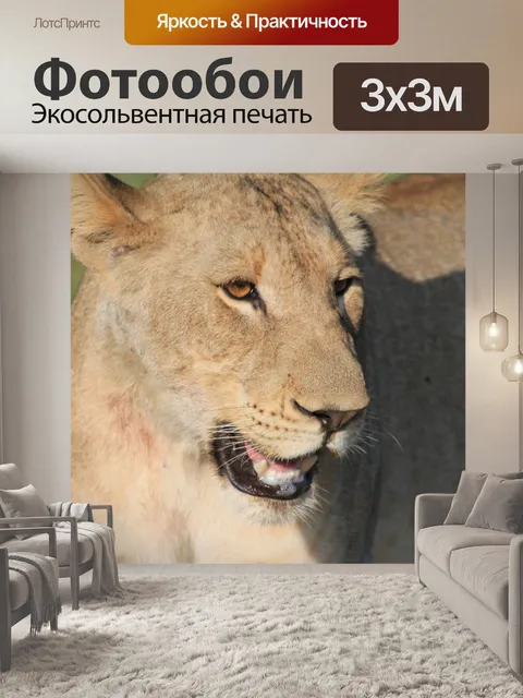 Фотообои Африка