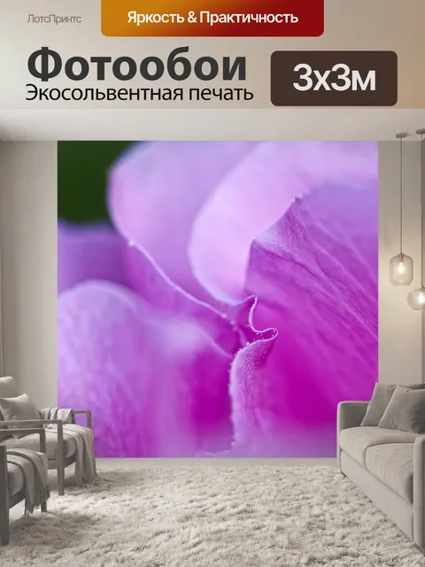 Фотообои Лепесток