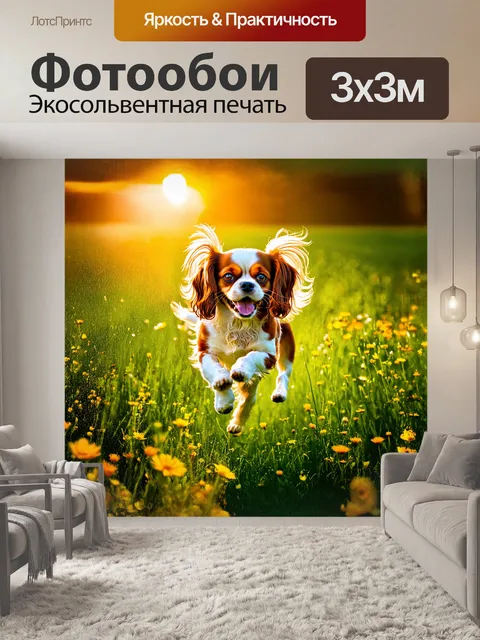 Фотообои собака, кавалер кинг чарльз спаниель, весело прыгает по зеленому лугу, окруженному яркими полевыми цветами
