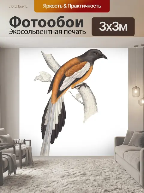 Фотообои Винтаж Тропическое Искусство Птицы
