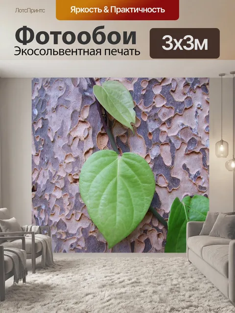 Фотообои Природа