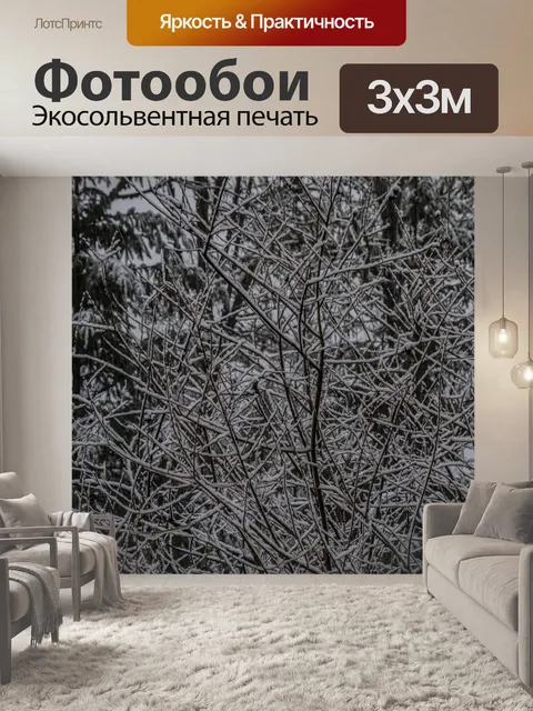 Фотообои Снег на ветках