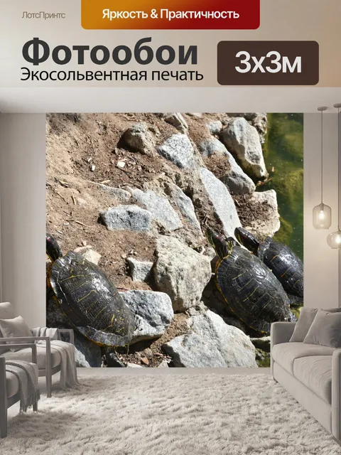 Фотообои Три Черепахи Загорать