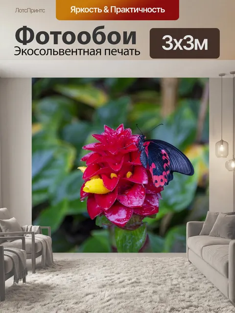 Фотообои Алый мормон бабочка