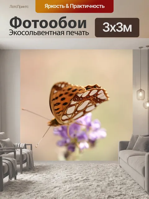 Фотообои Бабочка