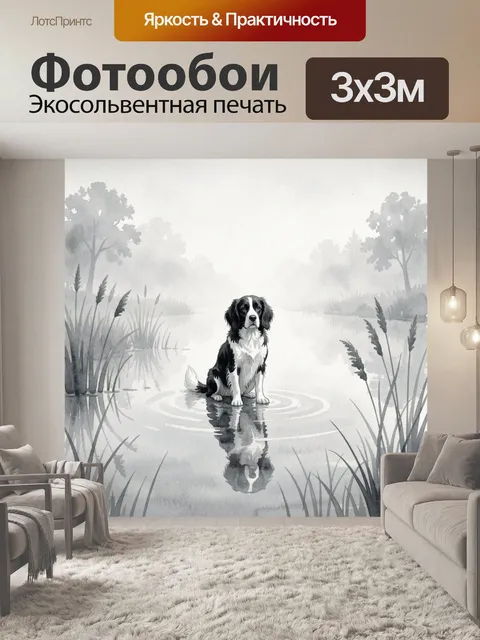Фотообои Пёс на водной глади в тумане