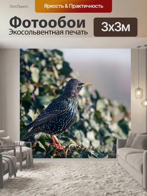 Фотообои Птица