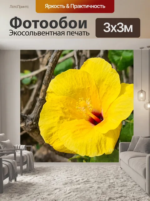 Фотообои Желтый цветок гибискуса