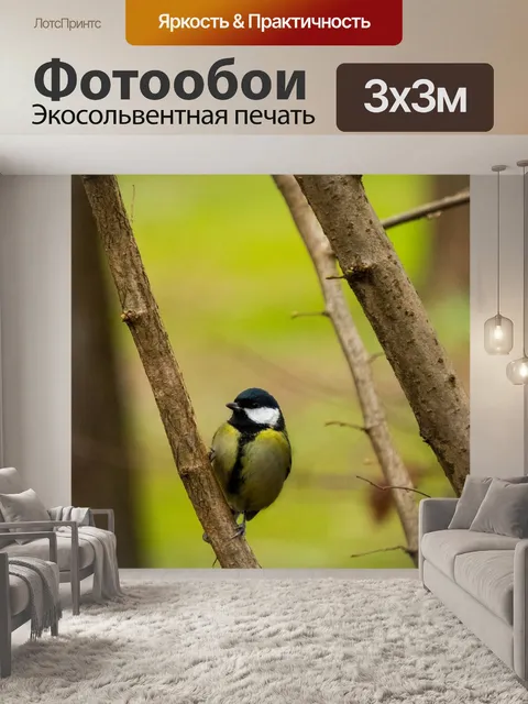 Фотообои Птица