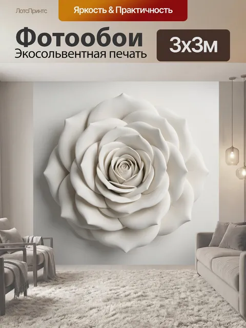 Фотообои Белая роза крупным планом
