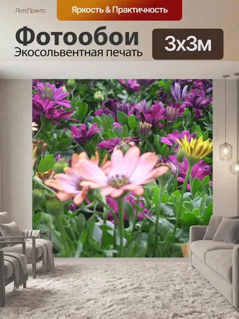 Фотообои Красочный ромашки