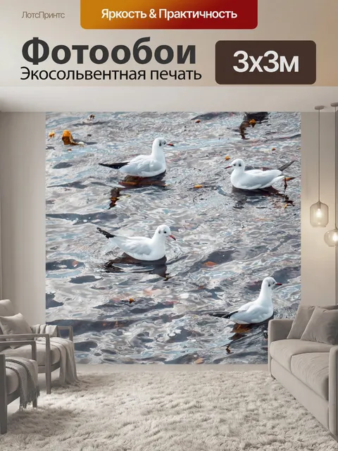 Фотообои Чайки на воде