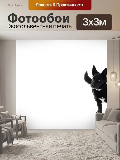 Фотообои Собака