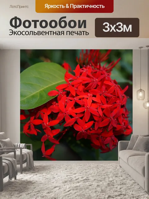 Фотообои Цветы