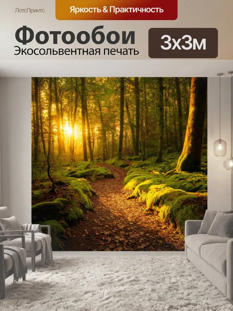 Фотообои густой моховой лес с опавшими листьями, уютные тропинки, тишина, восходящее солнце