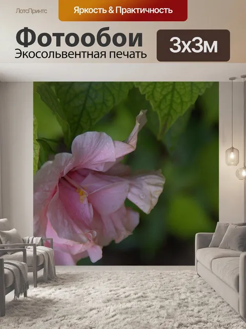 Фотообои Крупный цветок гибискуса