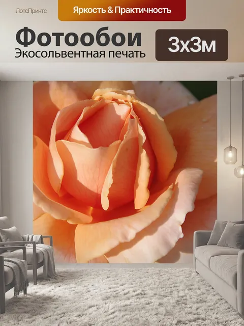Фотообои Крупный план оранжевой розы