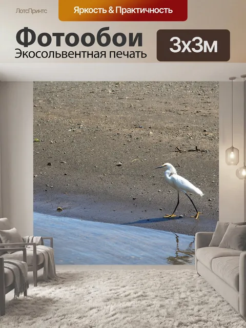 Фотообои Коста-Рика Белый Журавль