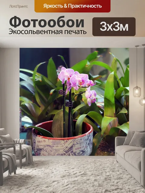 Фотообои Зеркальные Орхидеи