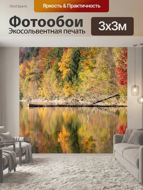 Фотообои Лес