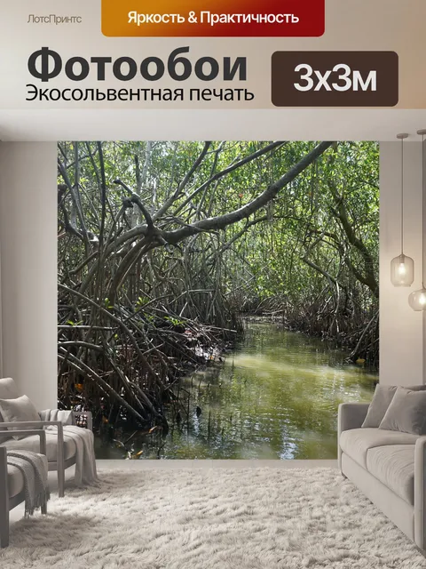 Фотообои Монгровен