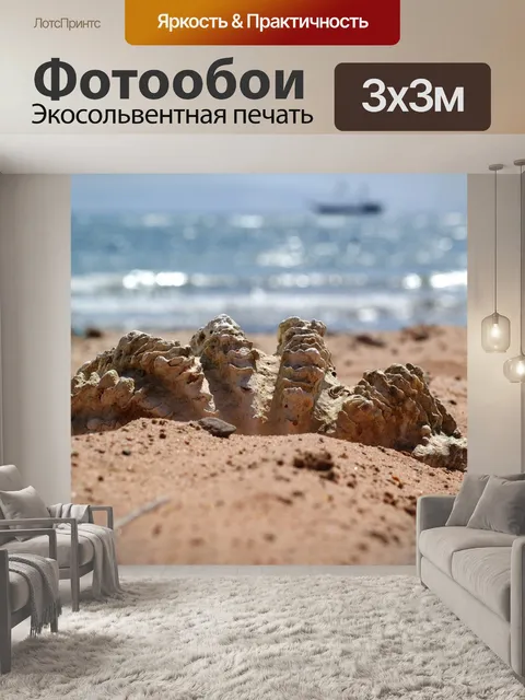 Фотообои Морская раковина