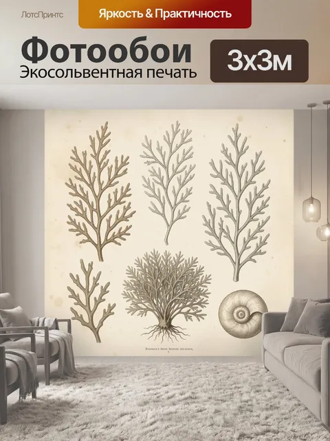 Фотообои Винтажная ботаническая иллюстрация водорослей