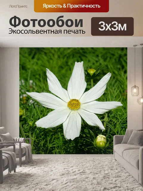 Фотообои Красивый летний цветок