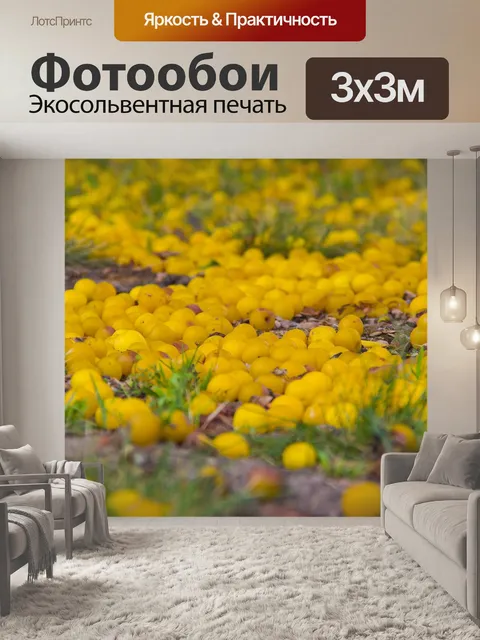 Фотообои Сливы