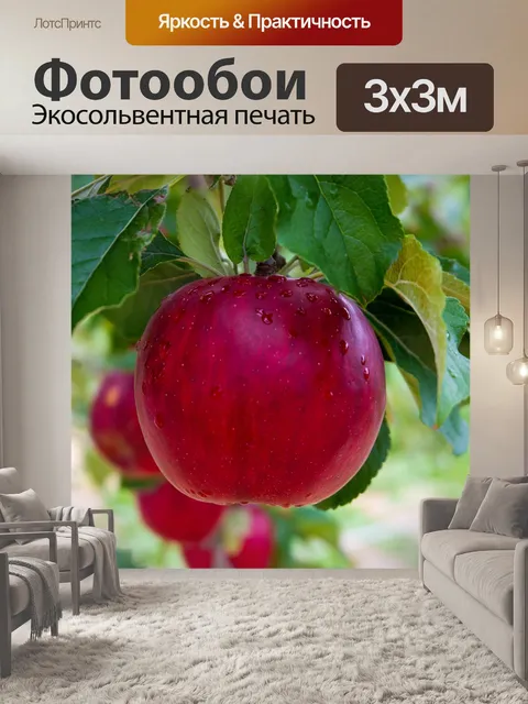 Фотообои Яблоко