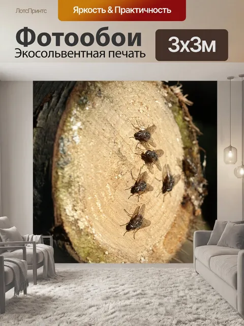 Фотообои Летит
