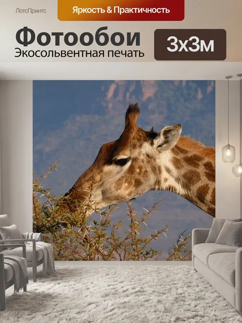 Фотообои Сафари