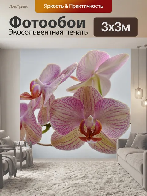 Фотообои Цветок