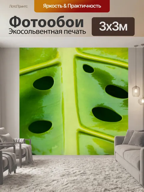Фотообои Зеленый лист с отверстиями