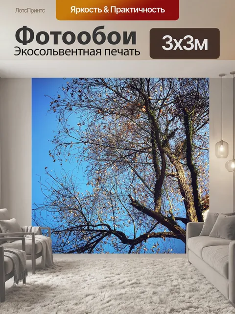 Фотообои Осень