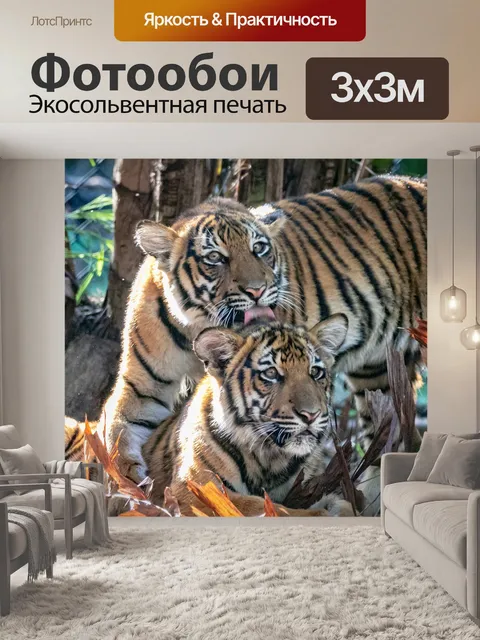 Фотообои Малайский тигренок