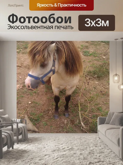 Фотообои Мини лошади 3